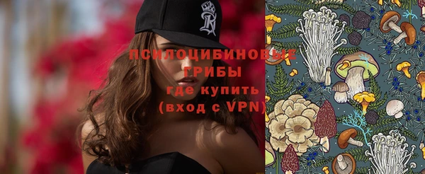 ГАЛЛЮЦИНОГЕННЫЕ ГРИБЫ Снежногорск