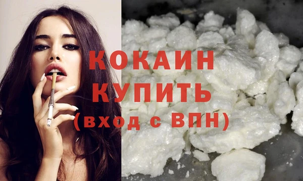 винт Лабытнанги