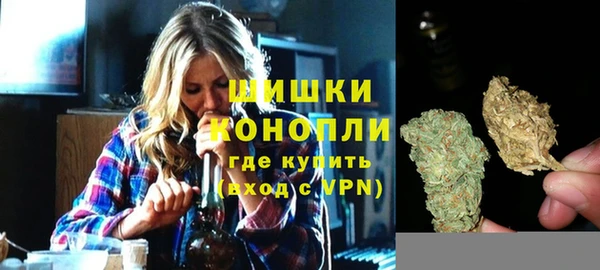 винт Лабытнанги
