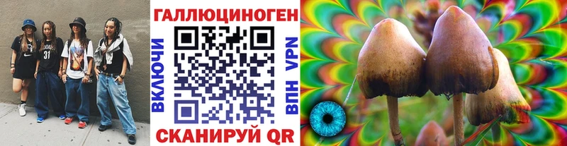 Галлюциногенные грибы прущие грибы наркота сайты даркнета клад Лебедянь